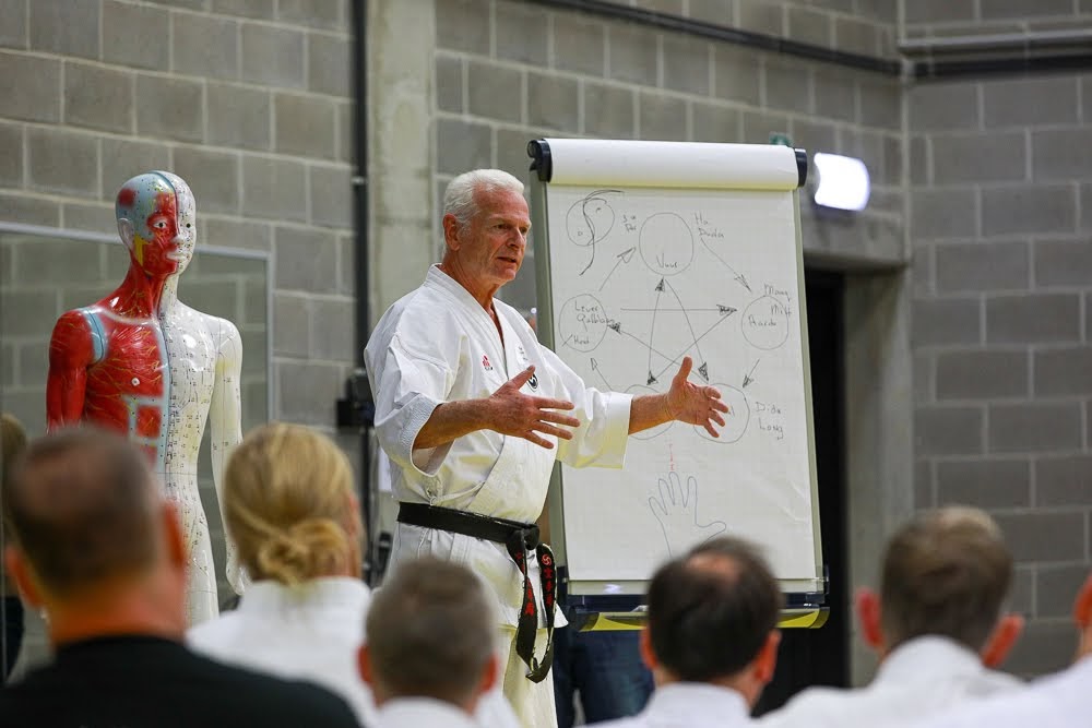 België: seminars 2018 - 2019 - 2020 - 2022: Guardians of RyuKyu.