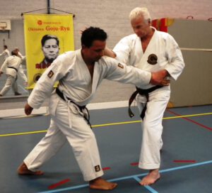 Bunkai Sepai