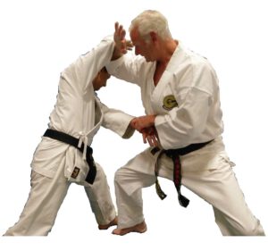 Bunkai Sanseru