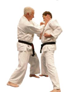 Bunkai Sepai